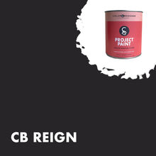 Load image into Gallery viewer, PROJECT PAINT REIGN-INDOOR