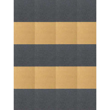 Load image into Gallery viewer, DIP RAY