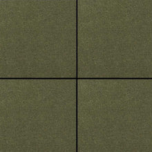 Load image into Gallery viewer, DIP MANZANILLA