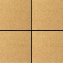 Load image into Gallery viewer, DIP RAY