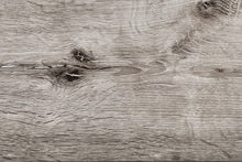 Load image into Gallery viewer, DEVINE SHASTA
