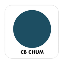 Load image into Gallery viewer, PROJECT PAINT CHUM-OUTDOOR - Color Baggage
