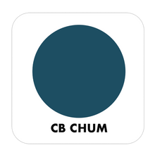 Load image into Gallery viewer, PROJECT PAINT CHUM-OUTDOOR - Color Baggage