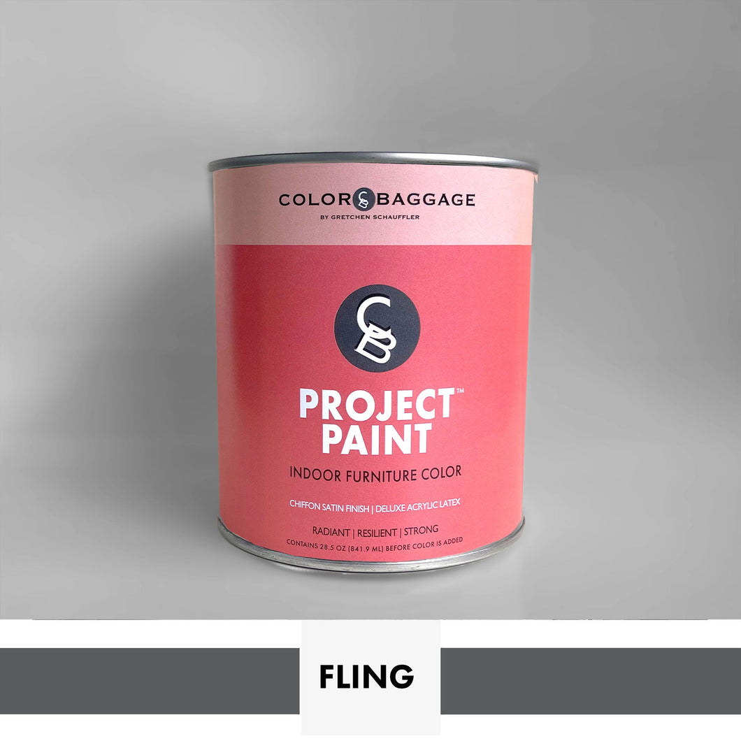 PROJECT PAINT FLING-INDOOR - Color Baggage