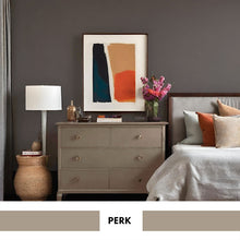 Load image into Gallery viewer, PROJECT PAINT PERK-INDOOR - Color Baggage