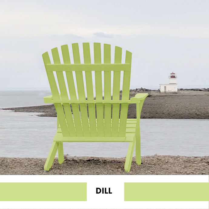 PROJECT PAINT DILL-OUTDOOR - Color Baggage