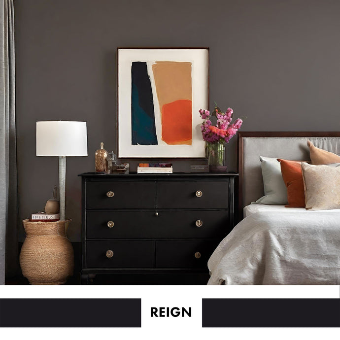 PROJECT PAINT REIGN-INDOOR - Color Baggage