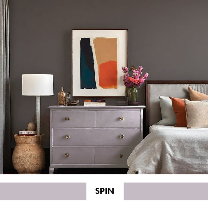 PROJECT PAINT SPIN-INDOOR - Color Baggage
