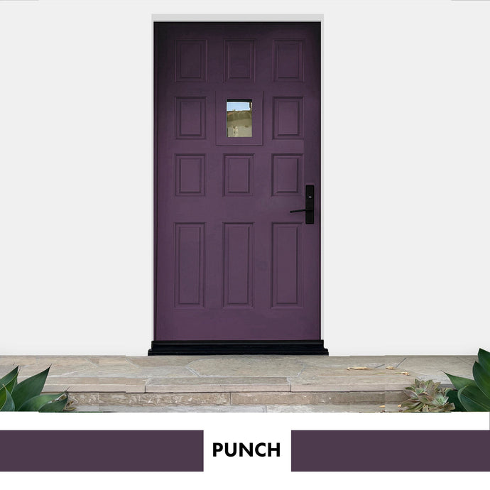 PROJECT DOOR PUNCH-EXTERIOR - Color Baggage