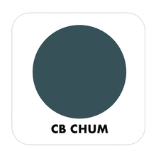 Load image into Gallery viewer, PROJECT PAINT CHUM-INDOOR - Color Baggage
