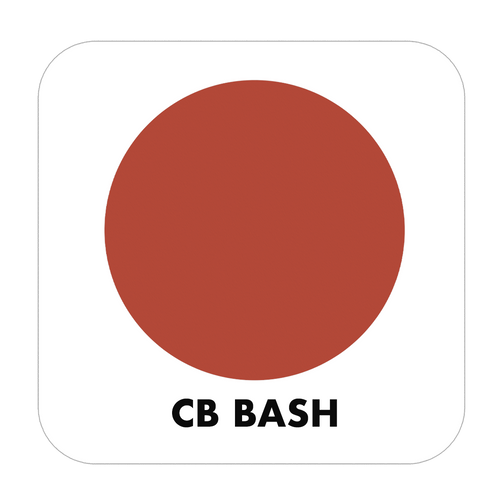 CB BASH - Color Baggage