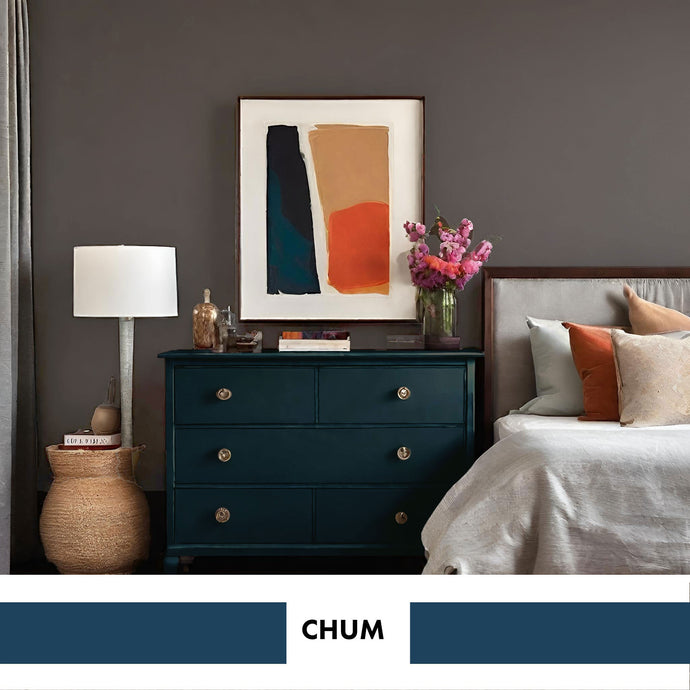 PROJECT PAINT CHUM-INDOOR - Color Baggage