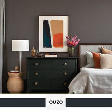 Load image into Gallery viewer, PROJECT PAINT OUZO-INDOOR - Color Baggage
