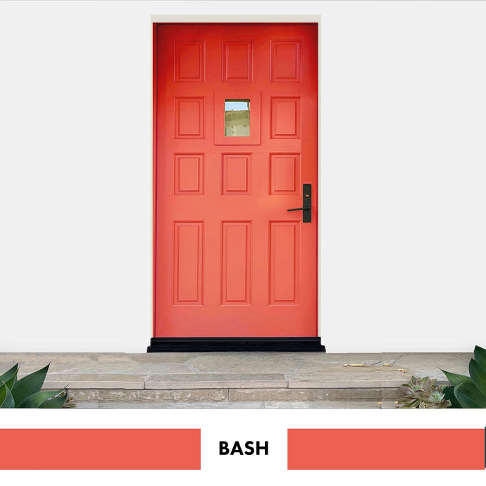 PROJECT DOOR BASH-EXTERIOR - Color Baggage